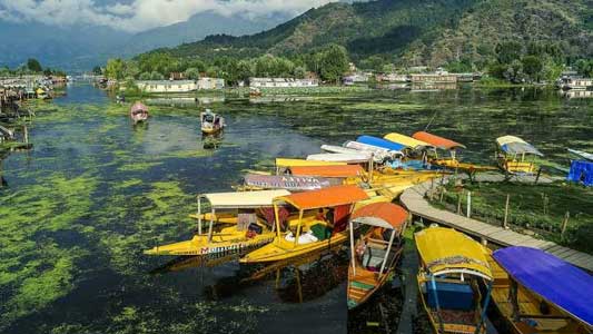 Jammu & Kashmir Tour