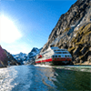 Testimonial - Pooho Travel Management